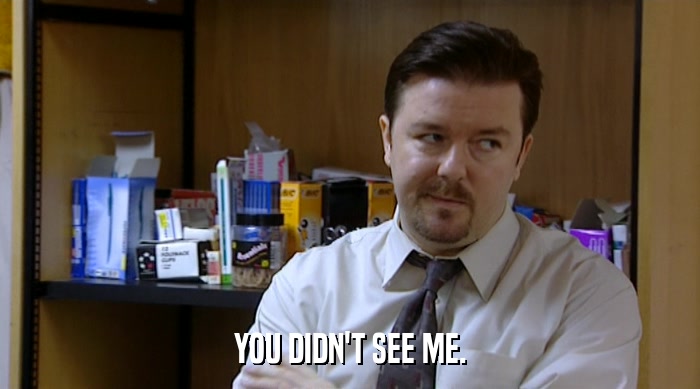 YOU DIDN'T SEE ME.  