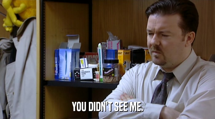 YOU DIDN'T SEE ME.  