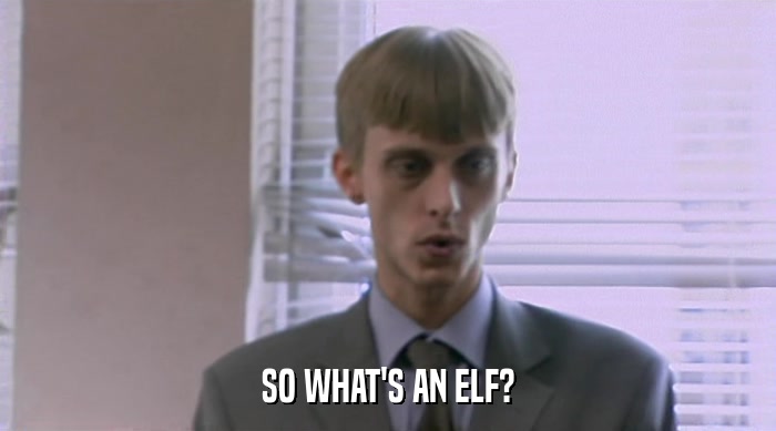 SO WHAT'S AN ELF?  