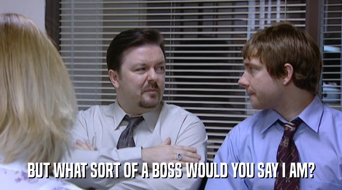 BUT WHAT SORT OF A BOSS WOULD YOU SAY I AM?  