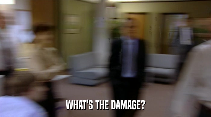 WHAT'S THE DAMAGE?  