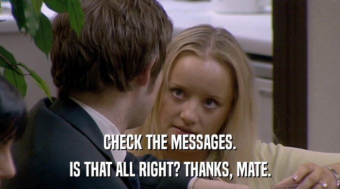 CHECK THE MESSAGES. IS THAT ALL RIGHT? THANKS, MATE. 