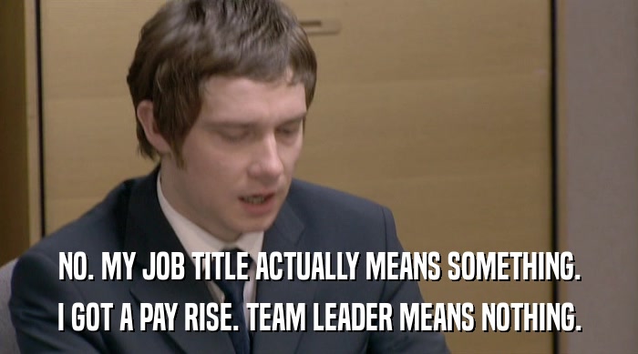 NO. MY JOB TITLE ACTUALLY MEANS SOMETHING. I GOT A PAY RISE. TEAM LEADER MEANS NOTHING. 