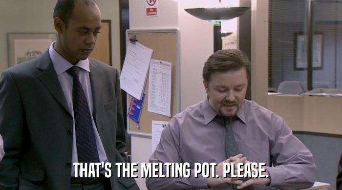 THAT'S THE MELTING POT. PLEASE.  