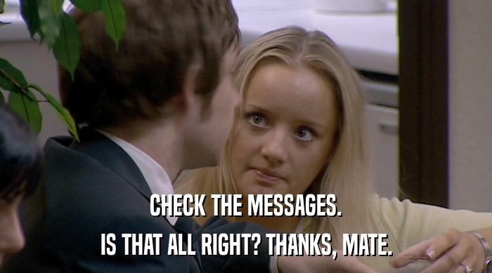 CHECK THE MESSAGES. IS THAT ALL RIGHT? THANKS, MATE. 