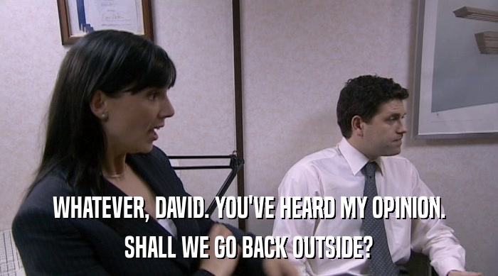 WHATEVER, DAVID. YOU'VE HEARD MY OPINION.
 SHALL WE GO BACK OUTSIDE? 