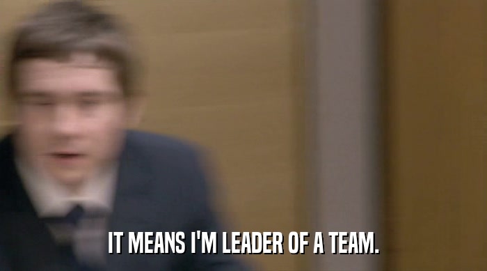 IT MEANS I'M LEADER OF A TEAM.  