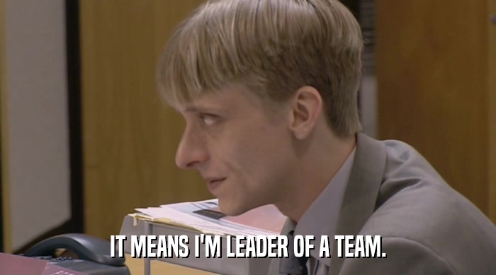 IT MEANS I'M LEADER OF A TEAM.  
