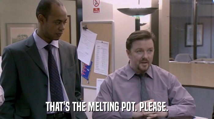THAT'S THE MELTING POT. PLEASE.  