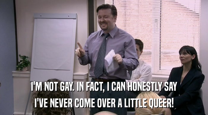 I'M NOT GAY. IN FACT, I CAN HONESTLY SAY
 I'VE NEVER COME OVER A LITTLE QUEER! 