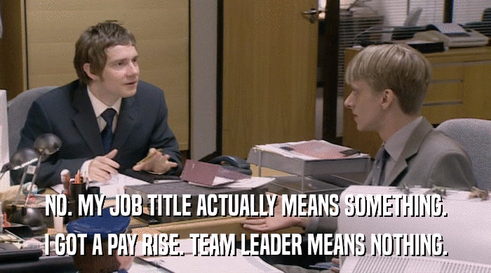 NO. MY JOB TITLE ACTUALLY MEANS SOMETHING. I GOT A PAY RISE. TEAM LEADER MEANS NOTHING. 
