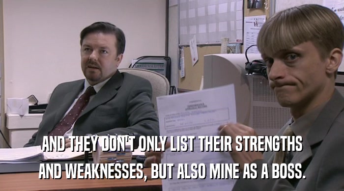 AND THEY DON'T ONLY LIST THEIR STRENGTHS
 AND WEAKNESSES, BUT ALSO MINE AS A BOSS. 