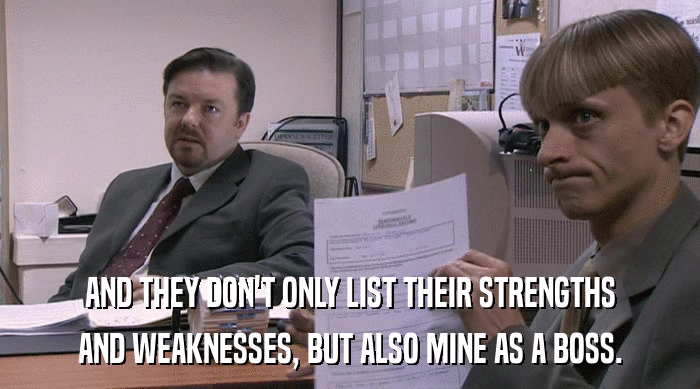 AND THEY DON'T ONLY LIST THEIR STRENGTHS
 AND WEAKNESSES, BUT ALSO MINE AS A BOSS. 