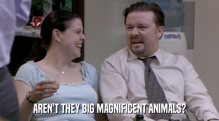 AREN'T THEY BIG MAGNIFICENT ANIMALS?  