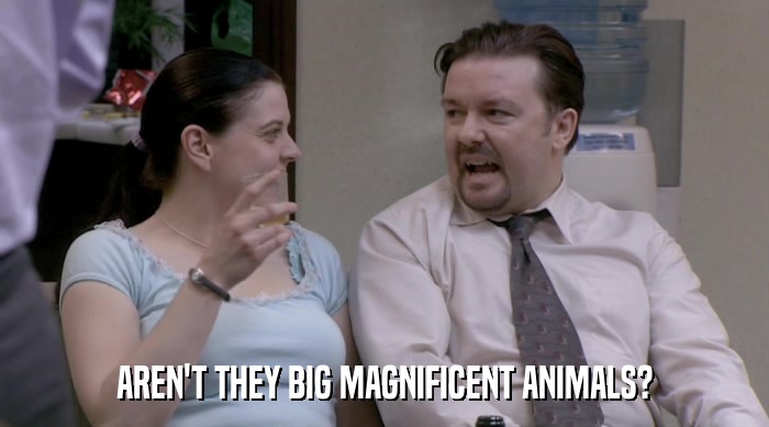 AREN'T THEY BIG MAGNIFICENT ANIMALS?  