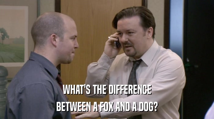 WHAT'S THE DIFFERENCE BETWEEN A FOX AND A DOG? 