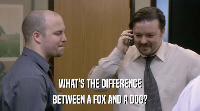 WHAT'S THE DIFFERENCE BETWEEN A FOX AND A DOG? 