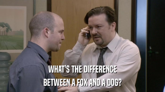 WHAT'S THE DIFFERENCE BETWEEN A FOX AND A DOG? 