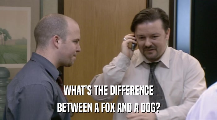 WHAT'S THE DIFFERENCE BETWEEN A FOX AND A DOG? 