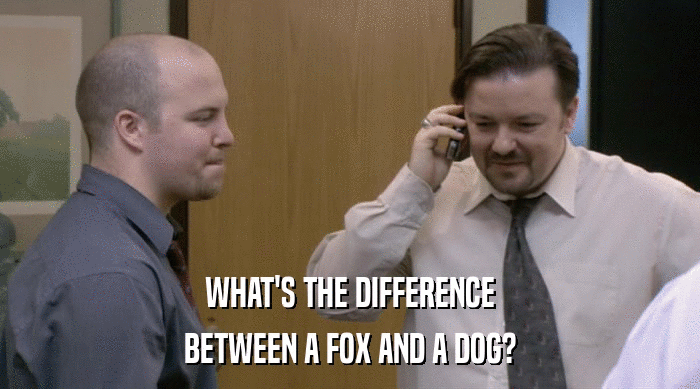 WHAT'S THE DIFFERENCE
 BETWEEN A FOX AND A DOG? 