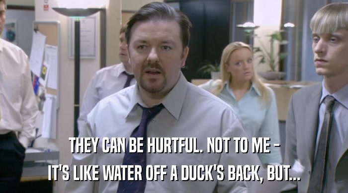 THEY CAN BE HURTFUL. NOT TO ME - IT'S LIKE WATER OFF A DUCK'S BACK, BUT... 