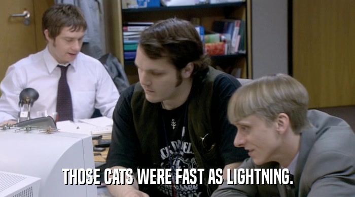 THOSE CATS WERE FAST AS LIGHTNING.  