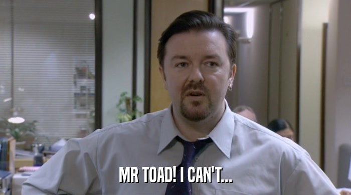 MR TOAD! I CAN'T...  