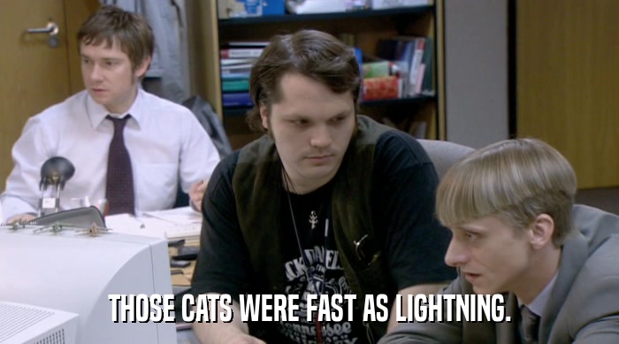 THOSE CATS WERE FAST AS LIGHTNING.  