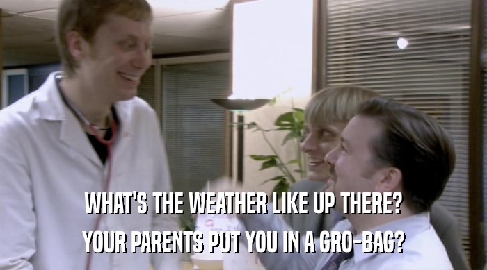 WHAT'S THE WEATHER LIKE UP THERE? YOUR PARENTS PUT YOU IN A GRO-BAG? 