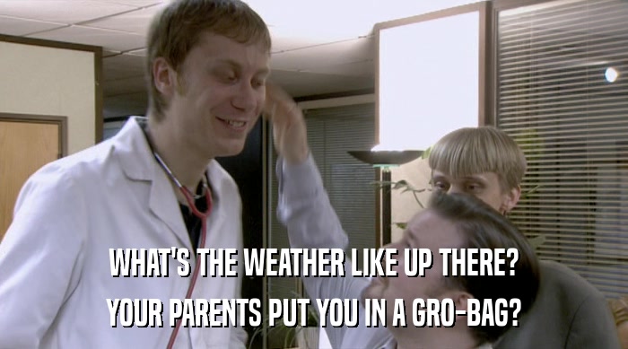 WHAT'S THE WEATHER LIKE UP THERE? YOUR PARENTS PUT YOU IN A GRO-BAG? 