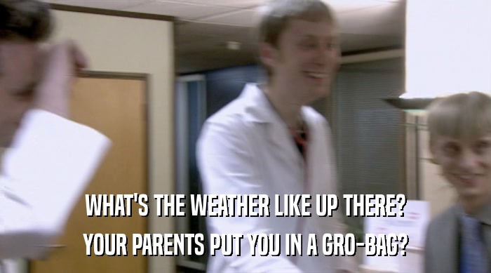 WHAT'S THE WEATHER LIKE UP THERE? YOUR PARENTS PUT YOU IN A GRO-BAG? 