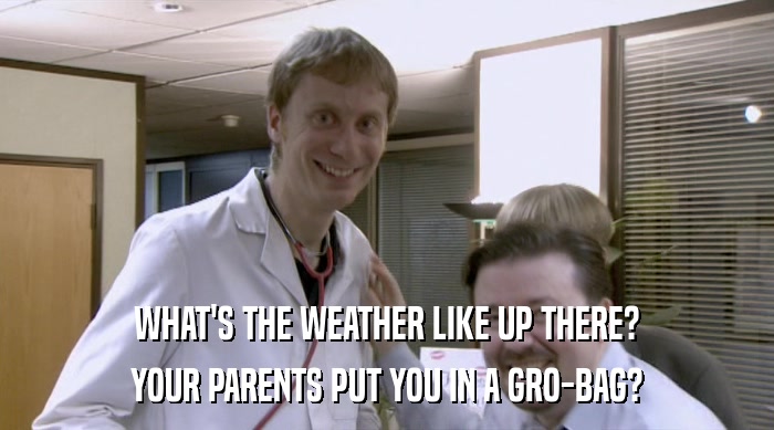 WHAT'S THE WEATHER LIKE UP THERE? YOUR PARENTS PUT YOU IN A GRO-BAG? 