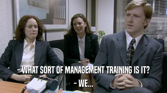 - WHAT SORT OF MANAGEMENT TRAINING IS IT? - WE... 