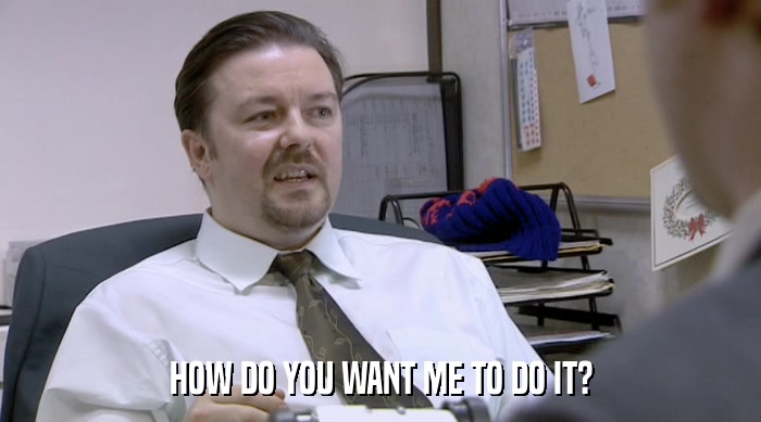 HOW DO YOU WANT ME TO DO IT?  