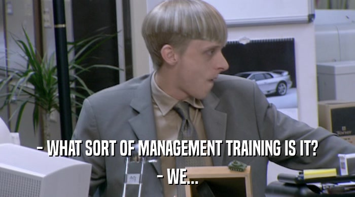 - WHAT SORT OF MANAGEMENT TRAINING IS IT? - WE... 