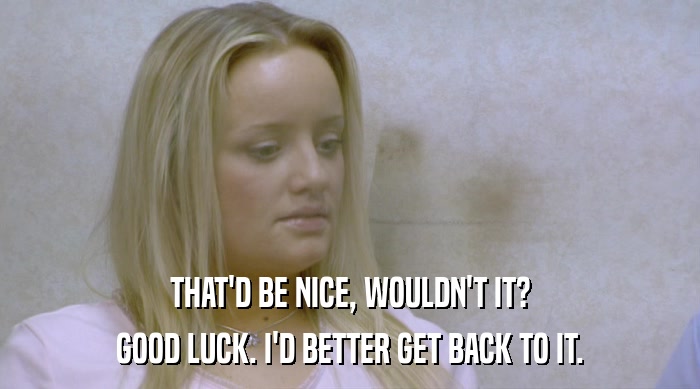 THAT'D BE NICE, WOULDN'T IT? GOOD LUCK. I'D BETTER GET BACK TO IT. 