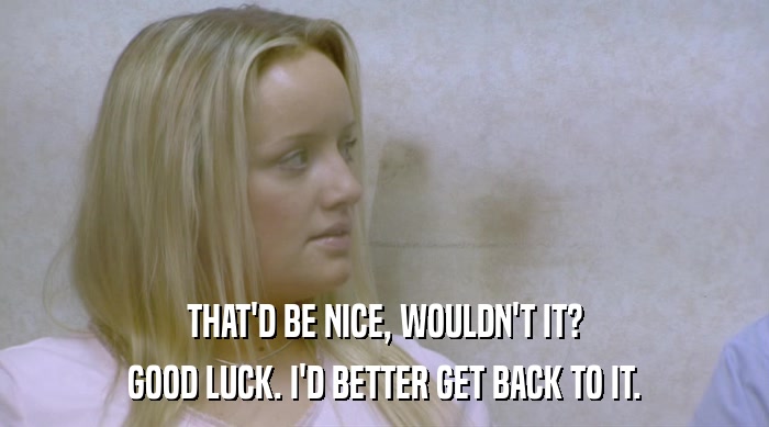 THAT'D BE NICE, WOULDN'T IT? GOOD LUCK. I'D BETTER GET BACK TO IT. 