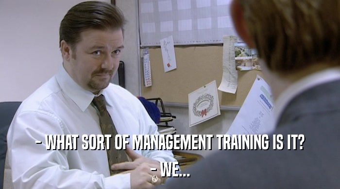 - WHAT SORT OF MANAGEMENT TRAINING IS IT? - WE... 