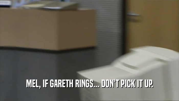 MEL, IF GARETH RINGS... DON'T PICK IT UP.  