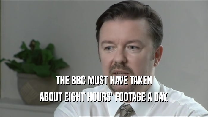 THE BBC MUST HAVE TAKEN ABOUT EIGHT HOURS' FOOTAGE A DAY. 