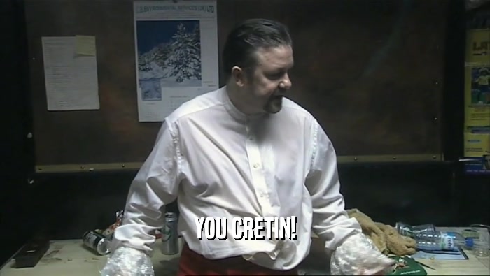 YOU CRETIN!  