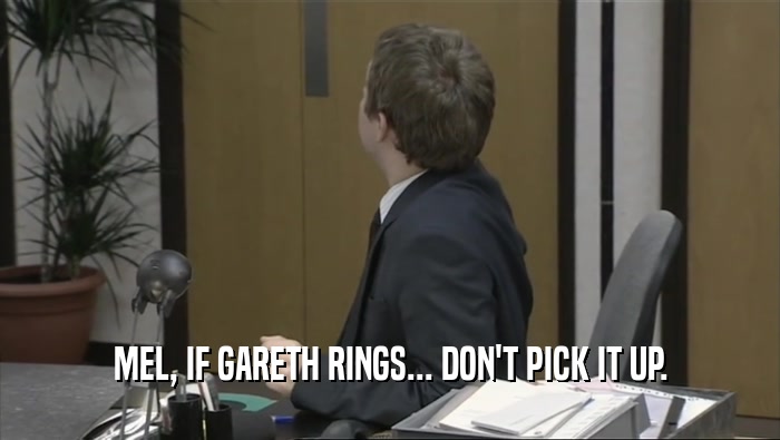 MEL, IF GARETH RINGS... DON'T PICK IT UP.  