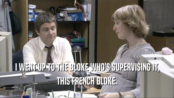 I WENT UP TO THE BLOKE WHO'S SUPERVISING IT, THIS FRENCH BLOKE. 