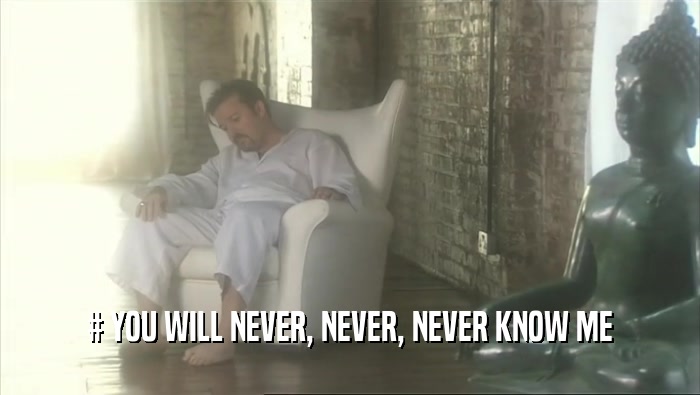 # YOU WILL NEVER, NEVER, NEVER KNOW ME  