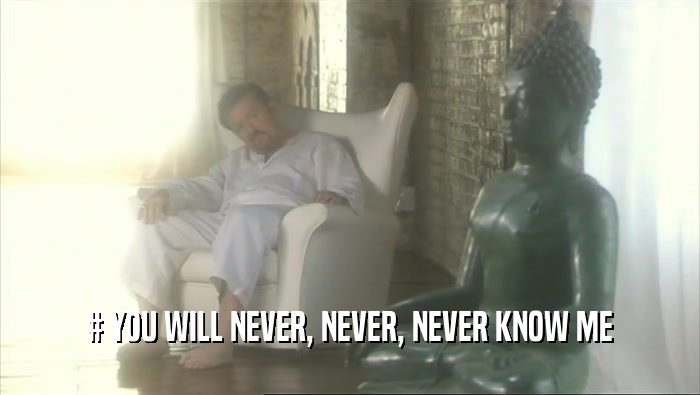 # YOU WILL NEVER, NEVER, NEVER KNOW ME  