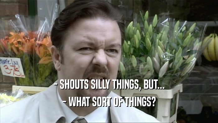 - SHOUTS SILLY THINGS, BUT...
 - WHAT SORT OF THINGS?
 
