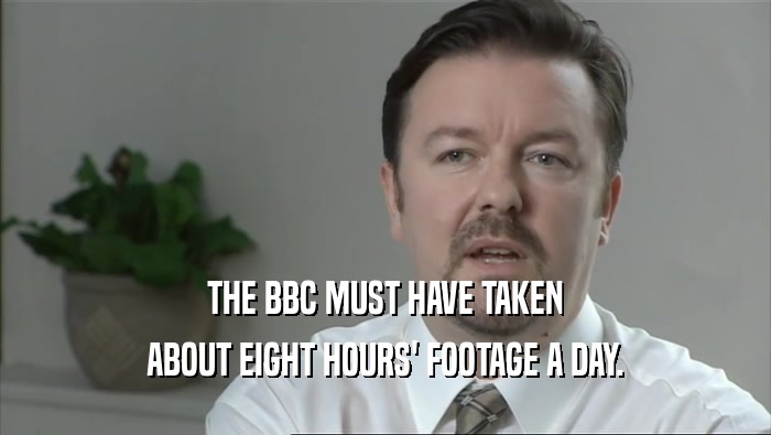 THE BBC MUST HAVE TAKEN ABOUT EIGHT HOURS' FOOTAGE A DAY. 