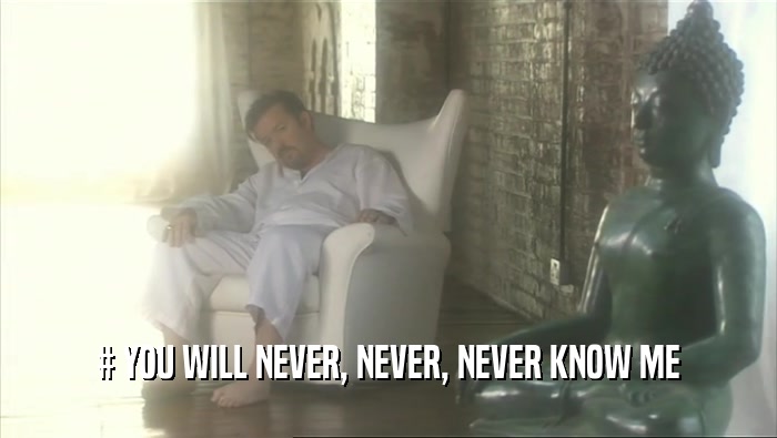 # YOU WILL NEVER, NEVER, NEVER KNOW ME  