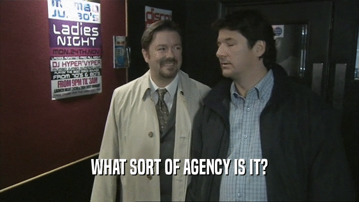 WHAT SORT OF AGENCY IS IT?  