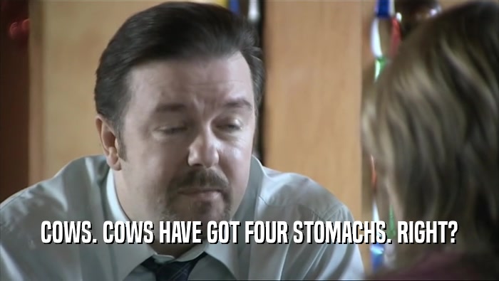 COWS. COWS HAVE GOT FOUR STOMACHS. RIGHT?
  